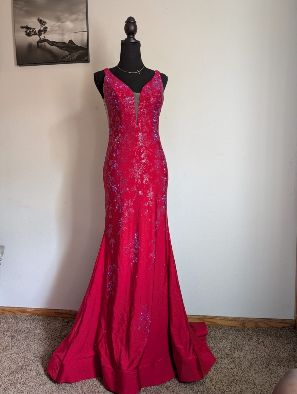 Amarra Red Beaded V-Neck Mermaid Prom Gown Dress Size 6